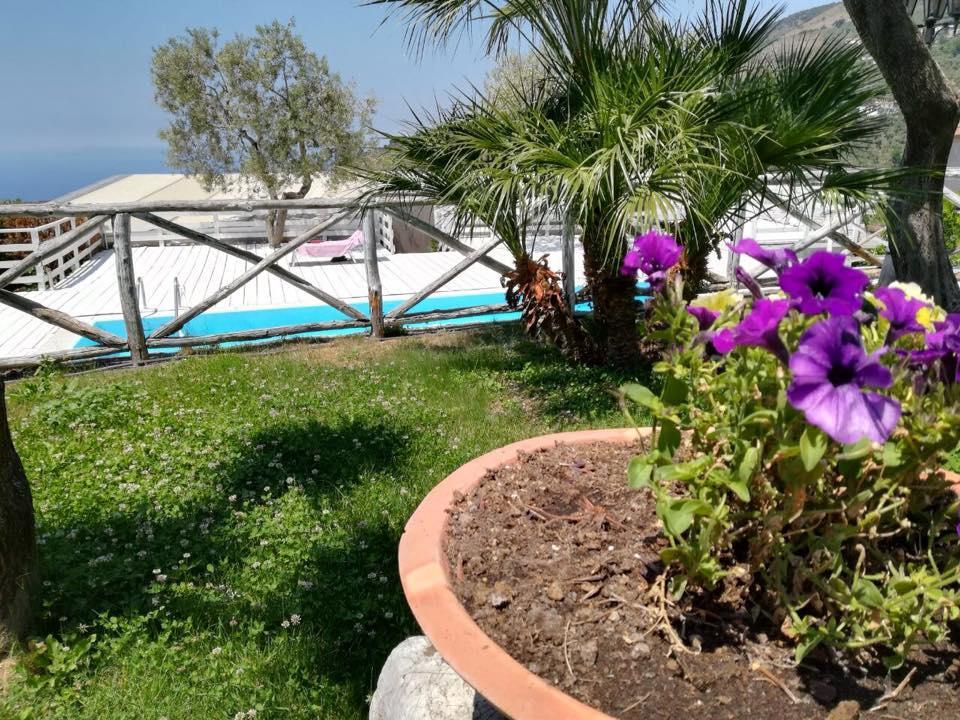 Il Casale Del Golfo Apartment Vico Equense Exterior photo